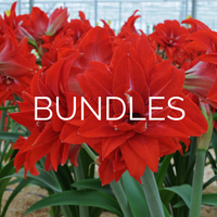 Bundles for You