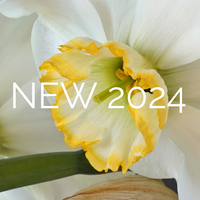 New in 2025!